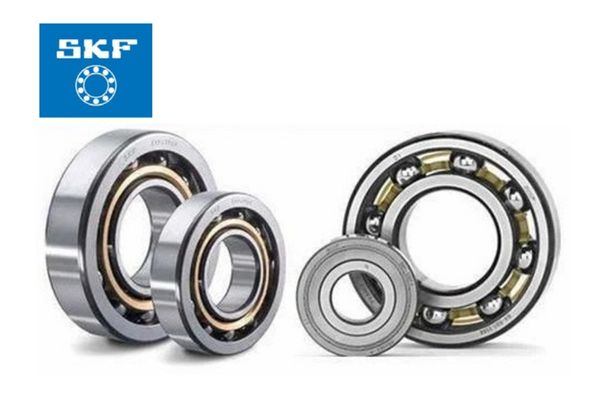 SKF Bearing